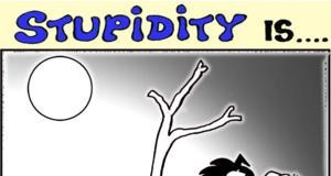 2011-07-10: Stupidity is … to wait for Mr. Godot!!