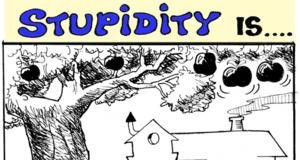 2011-05-22: Stupidity is … to wait for the apple to fall!!
