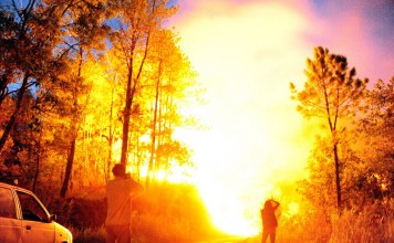 Wildfire – Phungyar , Ukhrul District, Manipur