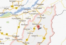 Assam – Nagaland Interim Border Agreement should be scrapped Nagaland Chief Minister: `Rio proposes NSCN govt in Nagaland`