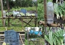 Mizoram: An extraordinary example of Honesty and Integrity Mizoram: An extraordinary example of Honesty and Integrity