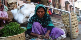 A Case Study on “Economic status of Meetei-Pangal (women) in Manipur”