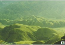 Lush Evergreen Hillocks of Dzuko Valley Lush Evergreen Hillocks of Dzuko Valley