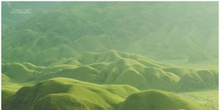 Lush Evergreen Hillocks of Dzuko Valley Lush Evergreen Hillocks of Dzuko Valley