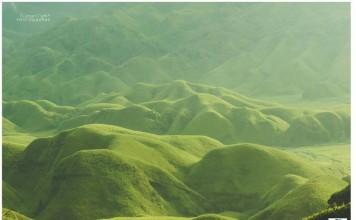Lush Evergreen Hillocks of Dzuko Valley Lush Evergreen Hillocks of Dzuko Valley