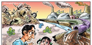 World Environment Day, 2013