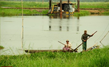 Life at Loktak Lake