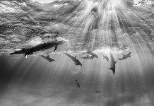 Surfacing