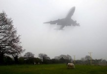 Foggy flyer