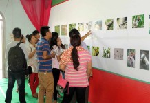 Manipur State level wildlife photography contest held Visitors checking the photos submitted for the State-level wildlife photography contest was held today at the CC Higher Secondary School Imphal.