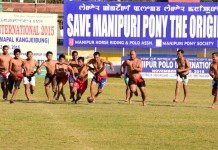 Manipur Sangai Festival 2015: Day 8