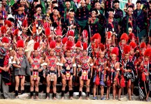 Hornbill Festival 2015