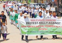 Two days after Irom Sharmila breaks fast against AFSPA Naga dominated dists rally against Army Act
