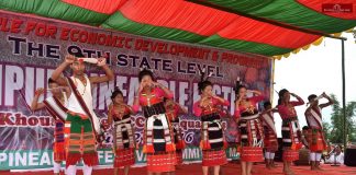 Images from 9th State Level Manipur Pineapple Festival