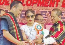 9th Manipur Pineapple fest held