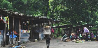 Local Market at Sadu-Chiru (Leimaram Waterfall) – Laishram Ranbir
