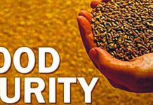State Govt likely to lose NFSA rice quota