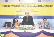 Nicky launches ‘Energy Efficient Nagaland’