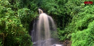 Phuba Khuman Village Waterfall near Phuba village