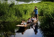 Committee formed for conservation of Loktak Lake in Manipur