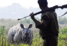 Assam gets a new ‘forest queen’ in Pramila Rani