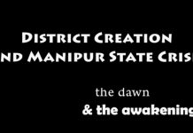 A Short Documentary Film On Understanding The Cause Of Agitation Of The Nagas by CJNSD