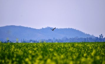 Landscape photos from in and around the Manipur state