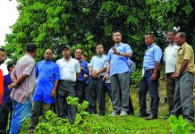 Minister Th Radheshyam inspects construction works