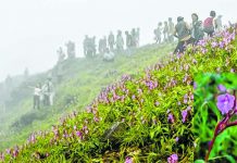 Kamjong poised to become tourist hotspot