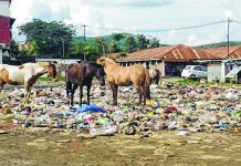 Swachch Bharat mission confined to Khwairamband Keithel : Lamphel area becoming a disease den