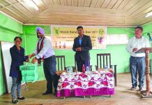 World honey bee day observed