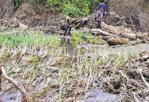 2 more Senapati villages reel under flood