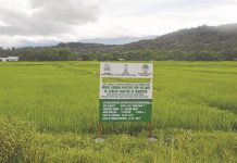 Plant identification project launched Phayeng experiments with integrated farming