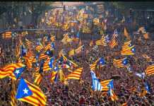 MSAD SOLIDARITY TO CATALANS