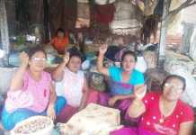 Mapung fana chathari