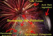 Diwali celebration puts human health at risk