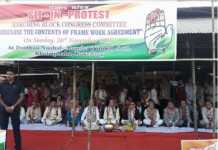 Congress demands NPF’s stand on state territorial integrity