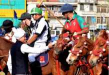 We need mechanism to preserve Manipuri pony: Biswajit