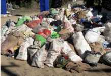 Mao village to celebrate “Dustbin Less Drive” annually