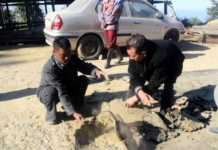 Restoration of Tamenglong-Khongsang road made to stop due to poor quality