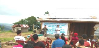 AR organises awareness and training on Cultivation/ Plantation Of Banana And King Chilli assam rifles banana plantation